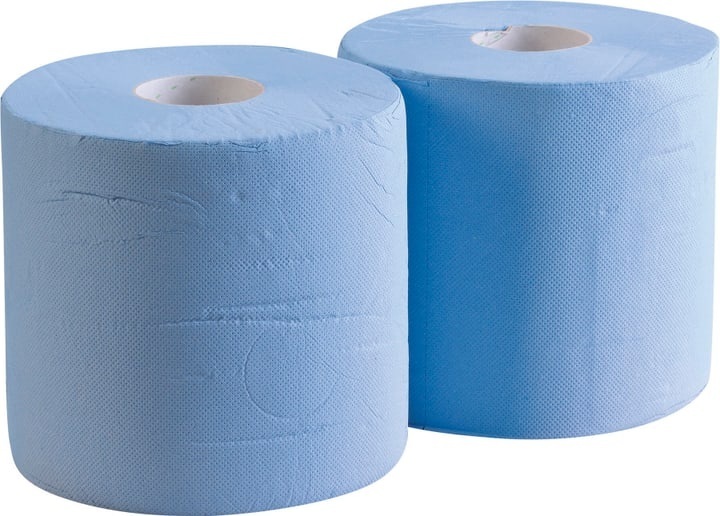 Putztuchrollen 2-lagig 2 Stk Tuch