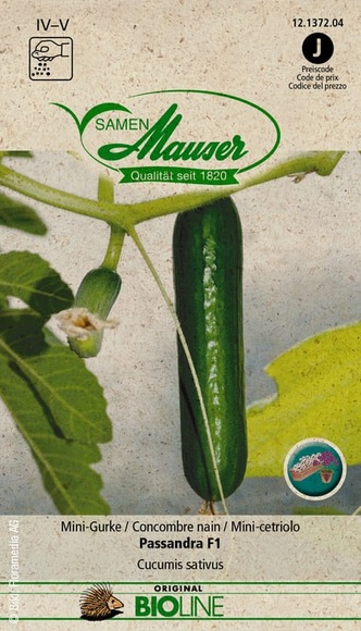 Samen Mauser BIO Mini-Gurke Passandra F1 Gemüsesamen