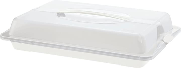 Rotho John Box Rechteckig Transparent, Weiß