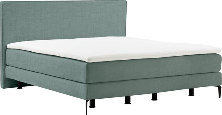 Boxspringbett NAVIER