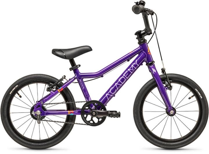 Academy Grade 3 Belt 16' Kindervelo violett