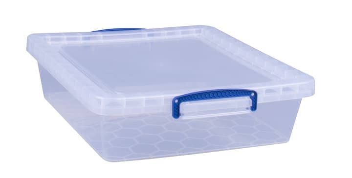 Really Useful Box Kunststoffbox 10.5L