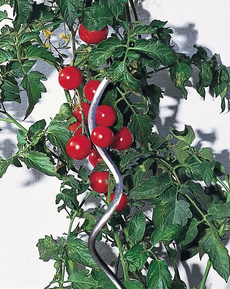 Windhager Tomatenspirale Pflanzenstütze