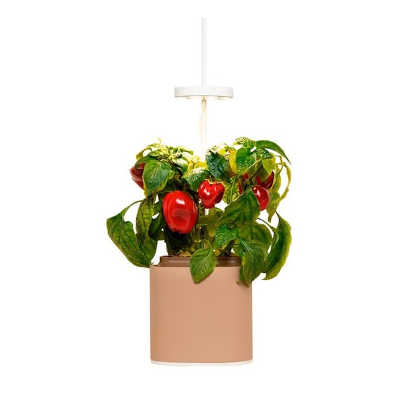 Prêt à Pousser Nano Indoor-Kräutergarten