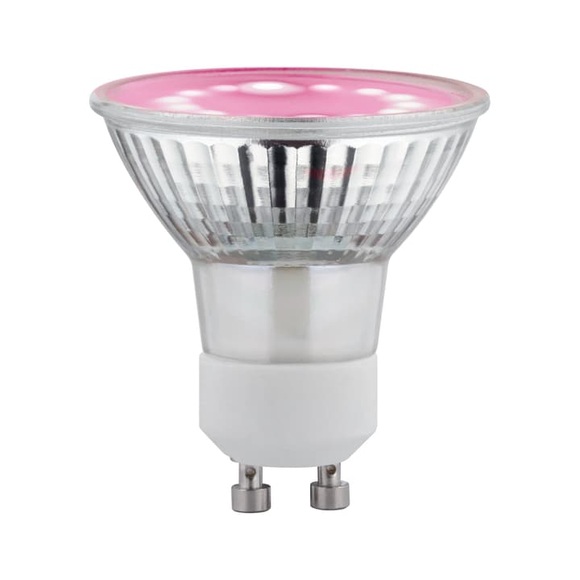 Paulmann LED Pflanzlicht GU10 3,5W