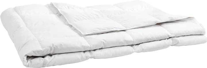 Leichtes Duvet mit 60% Daunen OPTIMADAUN light, Micasa