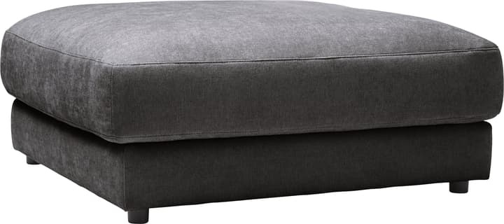 Hocker HARRISON, Micasa