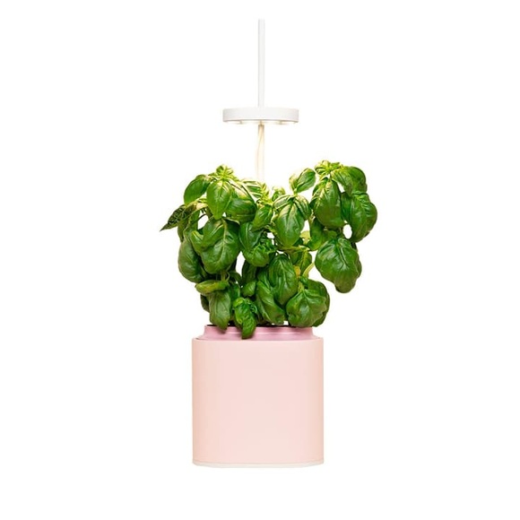 Prêt à Pousser Nano Indoor-Kräutergarten