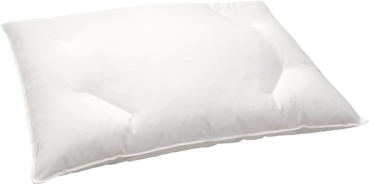 Flaches Kopfkissen mit hochwertigen Federchen und Milbenschutz DIVERSO medium, Micasa