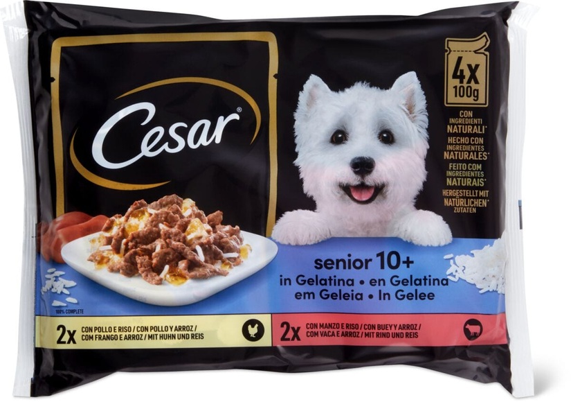 Cesar Selection Senior 4x100g