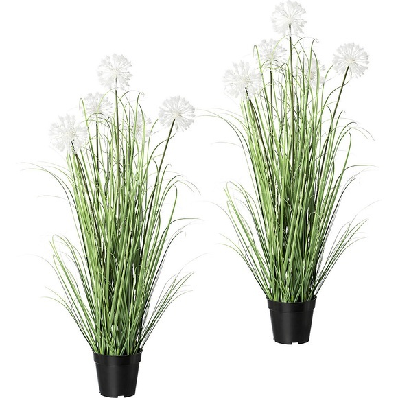 Grasbusch mit Pusteblumen, VE 2 Stk im Topf, Höhe 980 mm