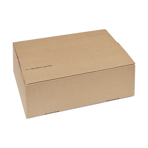 Speedbox Karton flow Plus, 1-wellig, LxBxH 385 x 290 x 120 mm, ab 10 Stk