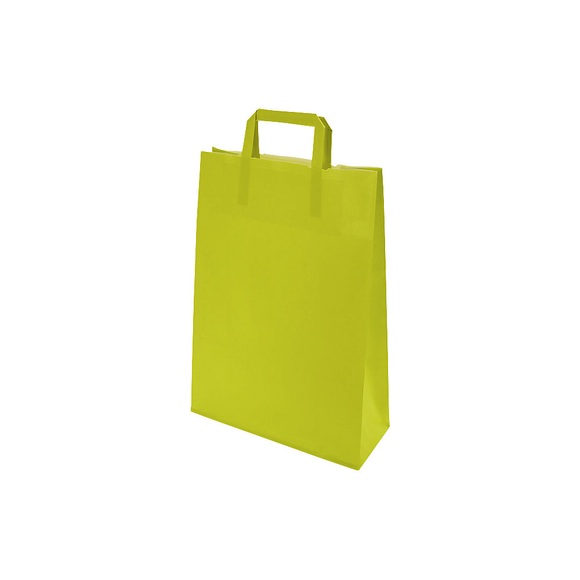 Papiertragetasche BASIC, Außen-LxB 380 x 100 mm, VE 250 Stk, hellgrün, 100 g/m²
