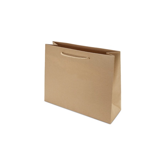 Papiertragetasche CLASSIC, Außen-LxB 310 x 130 mm, VE 150 Stk, braun, 120 g/m²