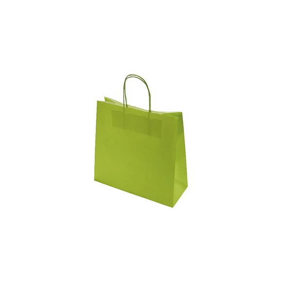 Papiertragetasche FRESH, Außen-LxB 240 x 110 mm, VE 250 Stk, grün, 100 g/m²
