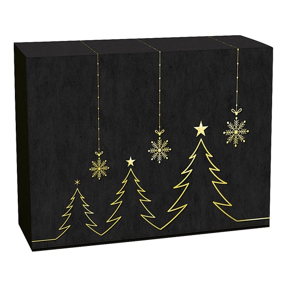 Flaschen-Geschenkkarton Tannengold, VE 25 Stk, Innenmaße 360 x 260 x 93 mm