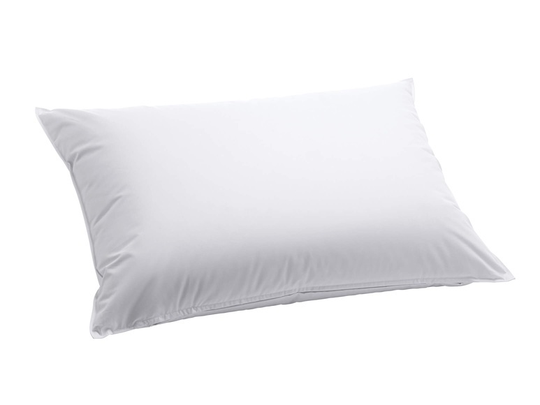 DAUNY - Kopfkissen CAPA - weiss - Baumwolle - 50cm/70cm