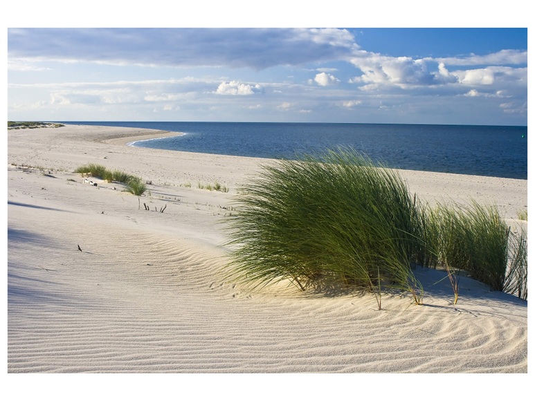 Strand mit Dünengras