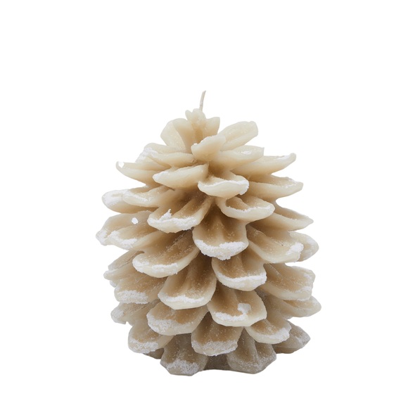 Tannenzapfen Haselnuss B: 16 cm