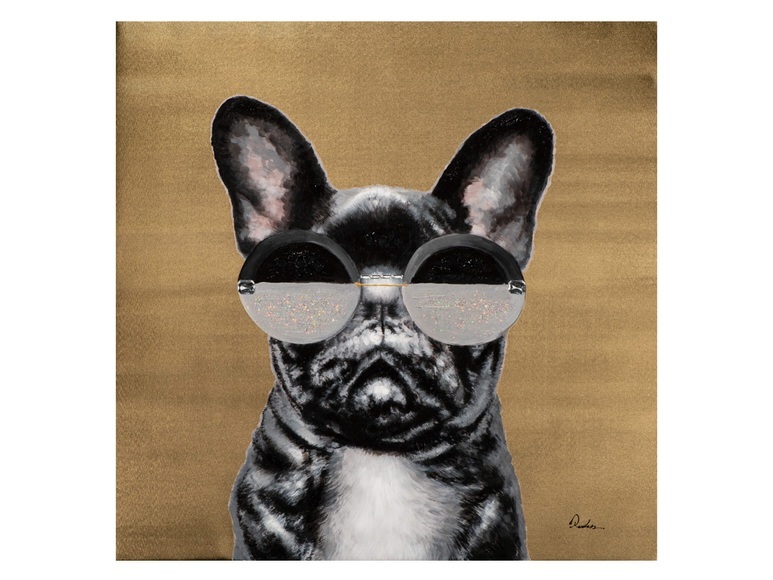 Cool Dog