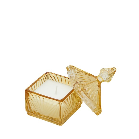Jasmine Gelb H: 12 cm