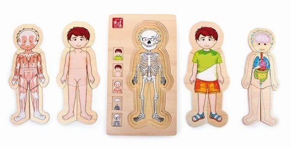 small foot ® Schichtenpuzzle Anatomie Tim - bunt