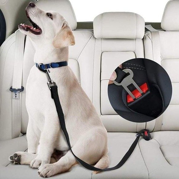 2 Stück Haustier Auto Sicherheitsgurt Nylon Haustiere Hund Katzensitz Blei Leine Gurt für Welpen Kätzchen Fahrzeug Sicherheitsleine verstellbar Lightinthebox
