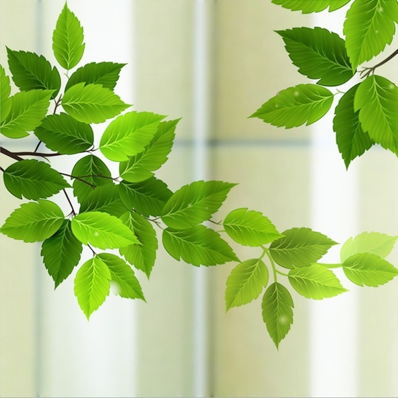 Grüne Blätter matte Fensterfolie Vinylfolie Wärmedämmung Sichtschutz Wohnkultur für Fenster Schranktür Aufkleber Fensteraufkleber - 60 x 58 cm Lightinthebox