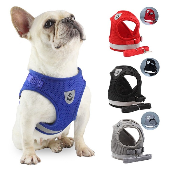 Hunde Katzen Geschirre Plaid / Karomuster Einfarbig bezaubernd nette Art Alltagskleidung Lässig / Alltäglich Winter Hundekleidung Welpenkleidung Hunde-Outfits Weich Perlenrosa Schwarz Grau Kostüm für Lightinthebox