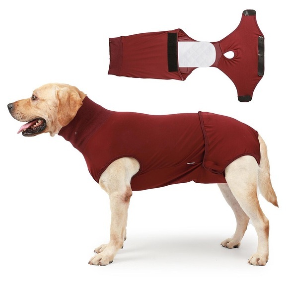 Hund physiologische Kleidung Hundewindeln Tante Kleidung postkastrierte Kleidung mit Windeln Haustier Hund Kleidung Lightinthebox