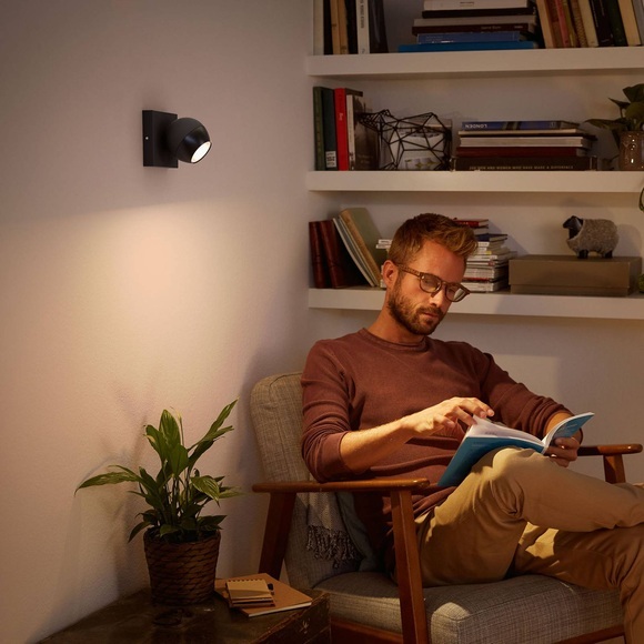 Philips Hue Aufbauspot Buckram 1x