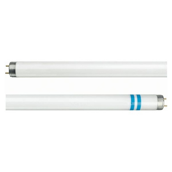 Philips G13 T8 Leuchtstofflampe mit Splitterschutz