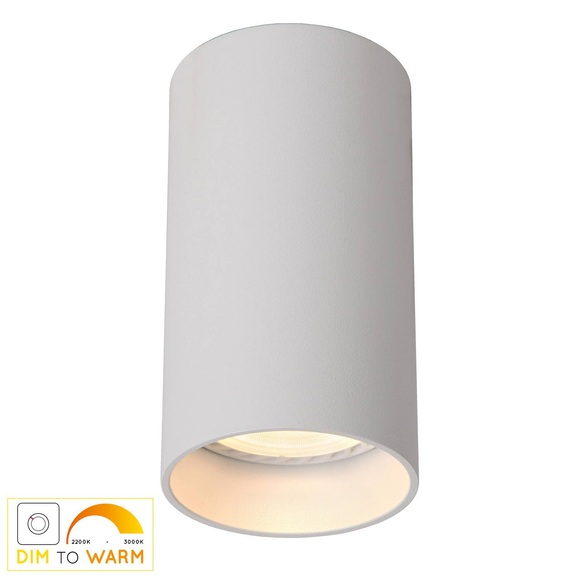LED-Deckenleuchte Delto dim to warm, rund, weiß