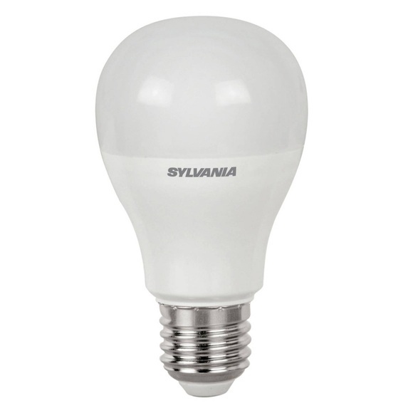 E27 6W 865 LED-Lampe matt
