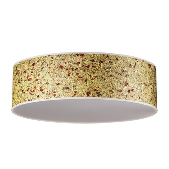 LeuchtNatur Discus Deckenlampe 55cm Rosenblüte
