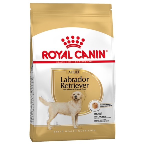 Grossgebinde Royal Canin Breed + Hundedecke gratis! - Labrador Retriever (12 kg)