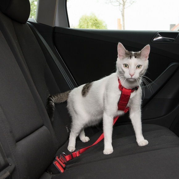 Trixie Auto-Geschirr für Katzen - rot