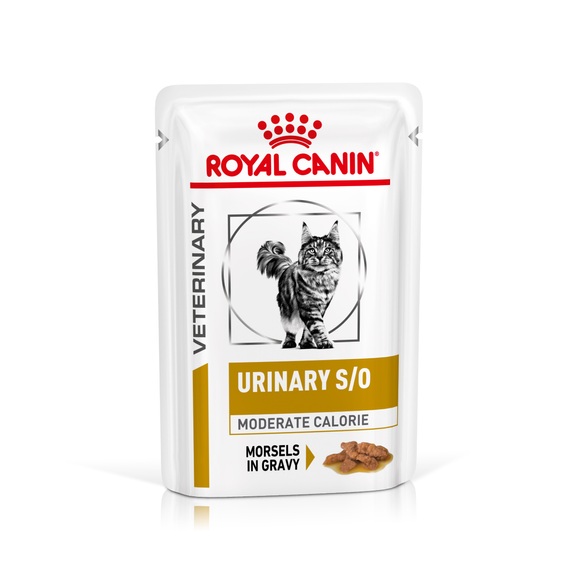 Royal Canin Veterinary Diet Feline Urinary S/O Moderate Calorie - 12 x 85 g (Häppchen in Soße)