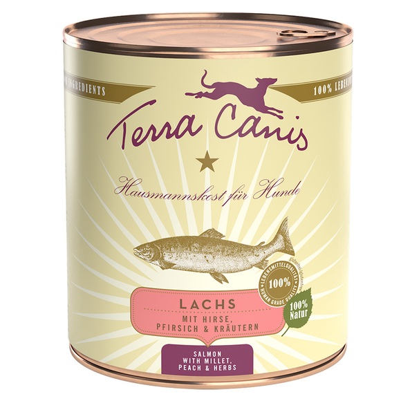 Terra Canis 6 x 800 g - Lachs mit Hirse, Pfirsich & Kräutern