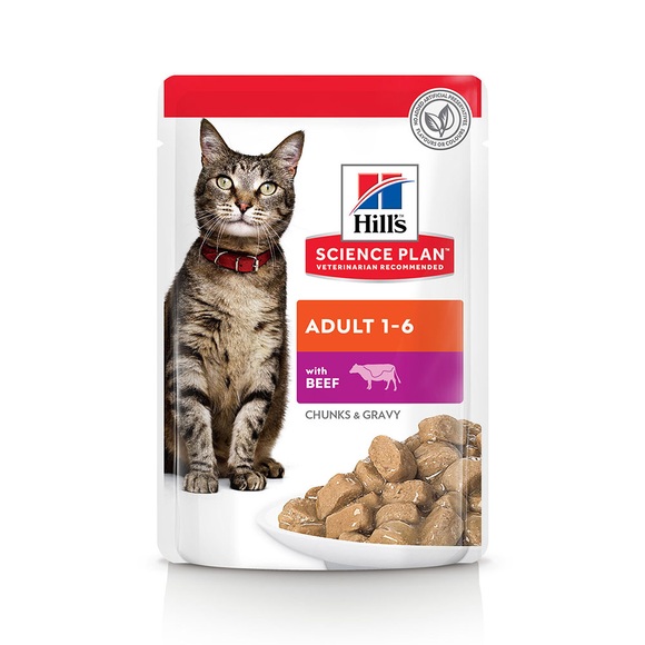 Hill's Science Plan Adult - 12 x 85 g Rind