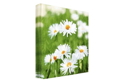 Servietten Daisies