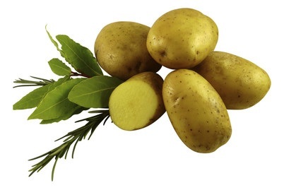 Saatkartoffeln VITABELLA BIO
