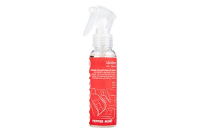 Lufterfrischer Cesare Spray Peppermint