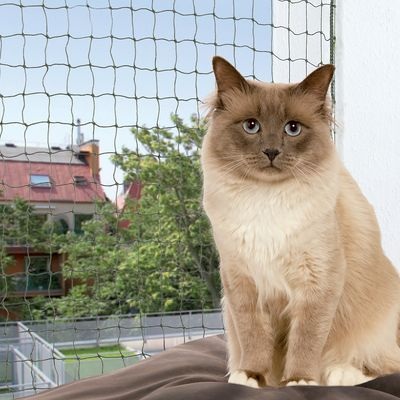 Trixie Schutznetz 8x3m drahtverst?rkt