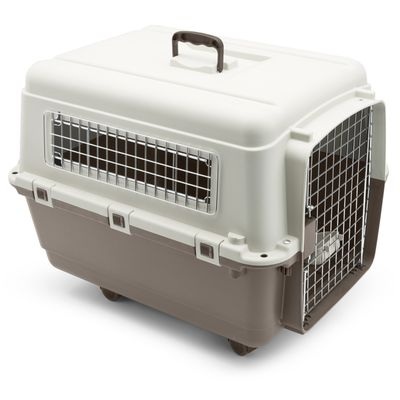 Transportbox Feria mit Rollen - Grösse 4 (S): B 51 x T 67 x H 47 cm