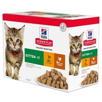 Hill´s Feline Kitten Multipack Volaille 12x100gr