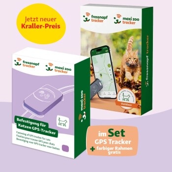 Fressnapf GPS-Tracker für Katzen + Befestigung lila