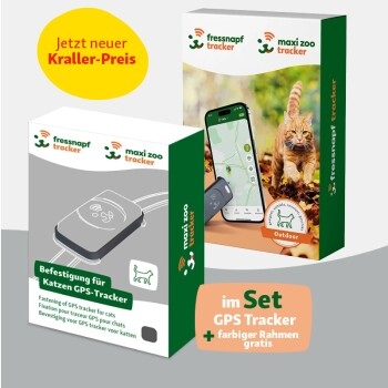 Fressnapf GPS-Tracker für Katzen + Befestigung grau/ schwarz