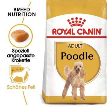 Royal Canin Adult Pudel 1.5kg