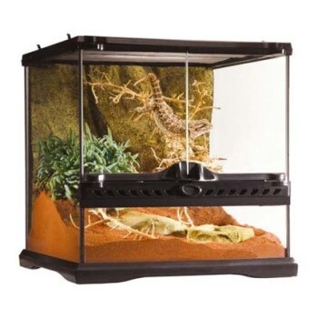 Exo Terra Glas Terrarium 30x30x30cm